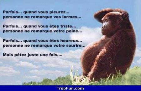 t bien bo toi!